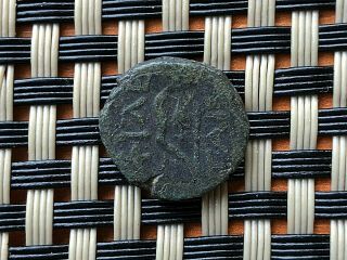 PERGAMON,  MYSIA 200 - 133 BC PHILETAERUS,  KING OF PERGAMUM AE14 
