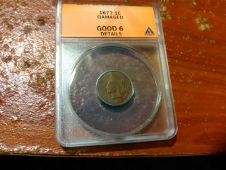 1877 Indian Head Cent Anacs Good 6 Details