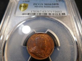 Q141 British Straits Settlements 1908 1/4 Cent Pcgs Ms - 63 Red Brown