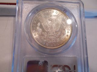 1883 - CC GSA Morgan Silver Dollar $1 PCGS MS65 3