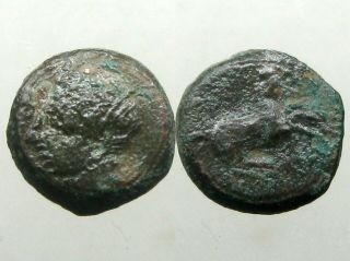 Carthage Zeugitana Ae14_tanit / Prancing Horse_queen Dido / Punic Wars