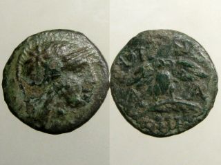 Pergamon Mysia Bronze Ae15_palm Branch_owl & Helmeted Athena