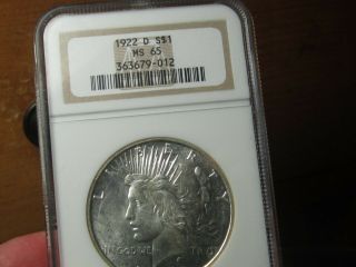Peace Dollar 1922 - D Ms - 65 Ngc Oh White - A & Better Dated Gem