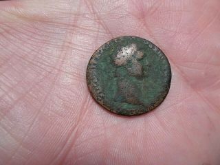 Domitian 81 - 96 Ad Copper As