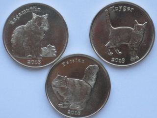 Stroma Island 2018 1 Pound 3 Coins Set Cats
