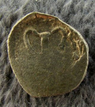 Ancient Greek Coinage Silver Obol Taras circa 500 BC (m189) 2
