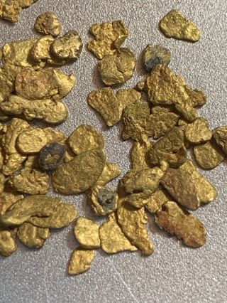 Lovely Group 2.  637 Gram Natural Gold Nugget Collector Specimen Colorado