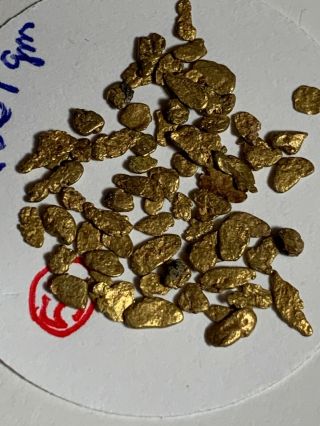LOVELY GROUP 2.  637 GRAM NATURAL GOLD NUGGET COLLECTOR SPECIMEN COLORADO 6