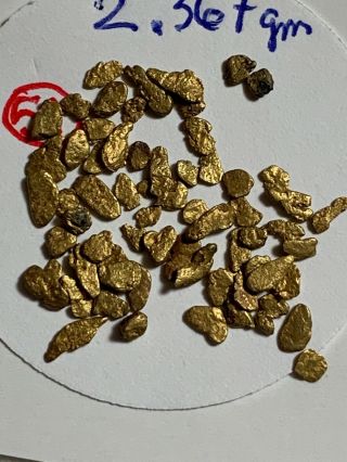 LOVELY GROUP 2.  637 GRAM NATURAL GOLD NUGGET COLLECTOR SPECIMEN COLORADO 7