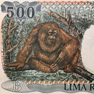 1995 Indonesia 500 Rupiah Banknote,  Orangutan/Huts,  Pick 128d,  Extra 3