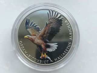 Ukraine 2 griven Trencher Bіlohvіst (Haliaeetus Albicilla) Nickel coin in Buklet 5