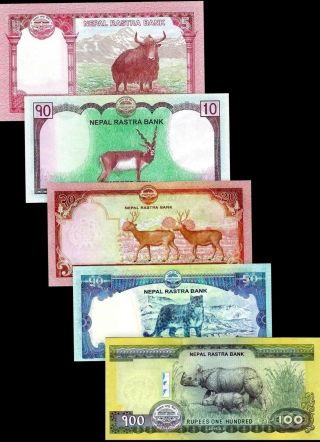 Nepal 2015 - 17,  5/ 10/ 20/ 50 /100 Rupees,  Banknote Set Of 5 Unc