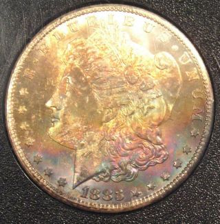 1883 - Cc Morgan Silver Dollar $1 Coin In Gsa Holder - Ngc Ms63 - Rainbow Tone
