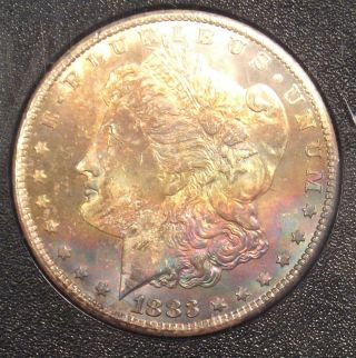 1883 - CC Morgan Silver Dollar $1 Coin in GSA Holder - NGC MS63 - Rainbow Tone 8