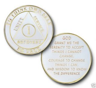 Yrs 1 - 35 Aa Anniversary Recovery Coin/chip/medallion White W/ Gold