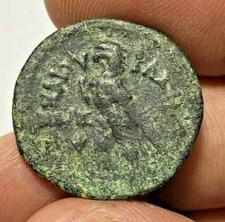 Ancient Greek Ptolemy Bronze Coin Philometor Vi 11.  1gr 26.  6mm