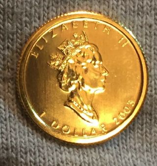 2003 Canada Gold Maple Leaf - 1/20 Oz Only 3,  980 Issued.  Very Scarce This.