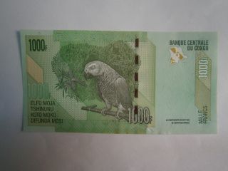 Congo Bank Note 1000 Francs Serie E -