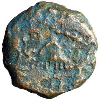 Jewish Judean Ancient Coin Of Agrippa I " Umbrella & Barley " Certified