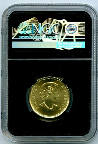 2019 CANADA $1 EQUALITY NGC GEM UNC DOLLAR LOON LOONIE FIRST RELEASES BLACK 2