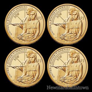 2014 P,  D Native American Sacagawea Set Pos A,  B From U.  S.  Rolls