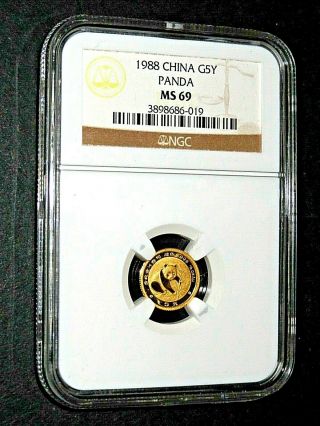 1988,  1/20 Oz.  China Gold Panda,  5 Yuan,  Ngc Ms - 69