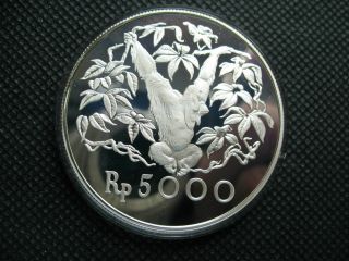 Indonesia 1974 5000rupiah Silver Proof Coin Conservation Series Orangutan