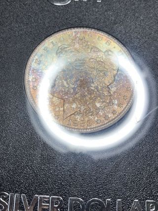 1883 - CC GSA Toned Morgan Silver Dollar Colorful Rainbow Toning GEM BU Beauty 12