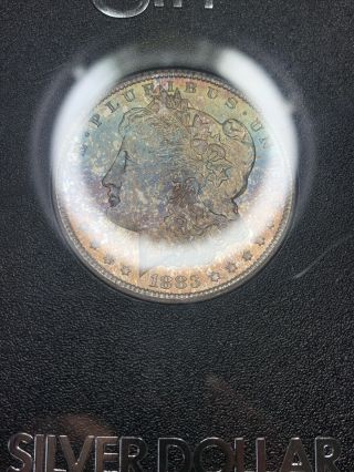 1883 - CC GSA Toned Morgan Silver Dollar Colorful Rainbow Toning GEM BU Beauty 2