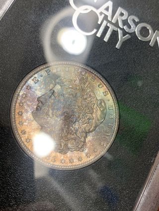 1883 - CC GSA Toned Morgan Silver Dollar Colorful Rainbow Toning GEM BU Beauty 7