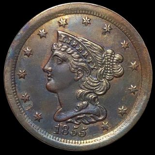 1855 Braided Hair Half Cent Appears Uncirculated High End Philadelphia Copper