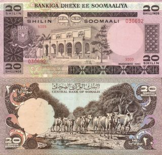 Somalia - 20 Shillings 1980 P.  27