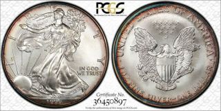 1999 American Silver Eagle Ase Pcgs Ms67 - Colorful Light Target Rim Toning