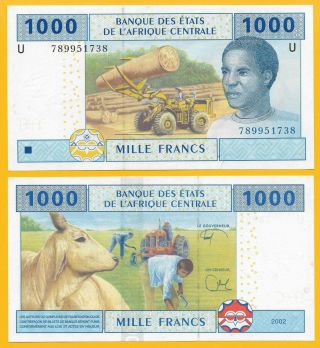 Central African States 1000 Francs Cameroon (u) P - 207ue 2002 Unc Banknote