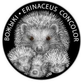 Belarus 2011 20 Rubles Hedgehogs 1 Oz Silver Proof Coin With Swarovski Crystals