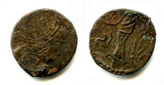 Barbarous Ae13 Radiate,  Salvs Type,  Tetricus I,  Ca.  270 - 280 Ad,  Roman Gaul
