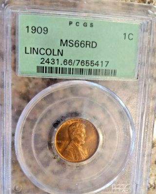 Rare 1909 Lincoln Wheat Penny Pcgs Ms 66 Rd Red Clear Sharp Detail Nr