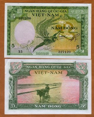 Vietnam / Viet Nam South,  5 Dong,  Nd (1955),  P - 2,  Aunc Bird Of Paradise