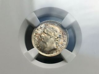 Victoria Queen Hong Kong 5 Cents 1898 NGC MS64 Silver Coin 4
