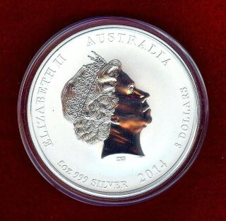 2014 Australia $10 Dollar 5 Oz.  999 Silver " Year Of The Horse " Proof Cameo