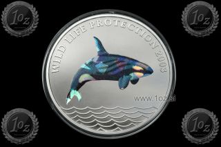 Congo 5 Francs 2003 (wildlife Protection - Orca) Color Commemor.  Coin Unc