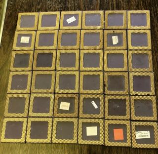 Last Chance - Vintage Amd Cpu Purple Chip Scrap Gold Recovery - About 1.  75 Lbs