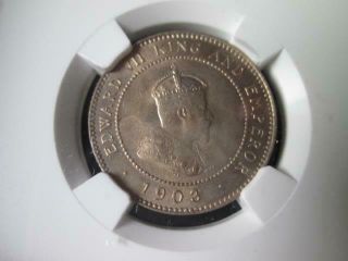 Jamaica 1/2 Penny 1903 Ngc Ms 63