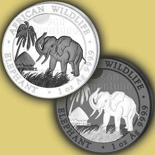 2017 Somalia Elephant Black & White 2 Coin Set - 1 Oz Silver Colorized Ruthenium