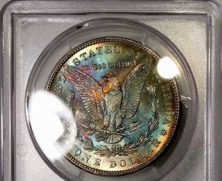 1885 - P Morgan Dollar PCGS MS64 Vibrant Blue Rainbow Toned 8