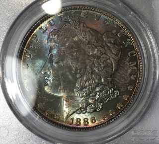 1886 - P Morgan Dollar PCGS MS63 CAC Lustrous Rainbow Toned Blue/Red/Gold Colorful 7