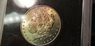 $1 1883 Cc Morgan Silver Dollar Gsa Bu - No Box/papers Vibrant Toning