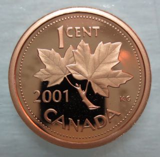 2001 Canada 1 Cent Proof Penny Heavy Cameo Coin