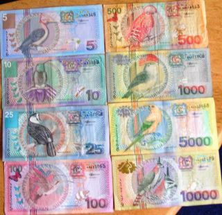 Surinam Suriname 5 Up To 10000 Gulden 2000 (birds)