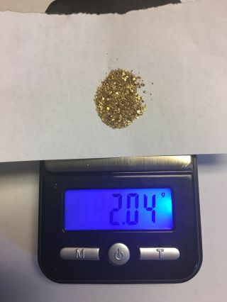 Yukon Gold Nuggets 2.  04 Grams 20 - 22